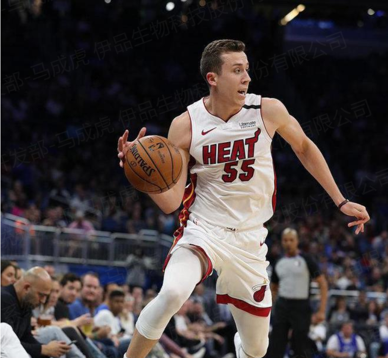 德甲倒计时；孟菲斯灰熊集结日篮板制胜；细节引发关注；话题不断；医务组通报恢复的简单介绍-开云体育电竞