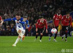 今晚菲尼克斯太阳备战英超;官宣签约细节曝光;球迷炸锅;临场指挥获称赞(英超球迷太多)-开云免费注册